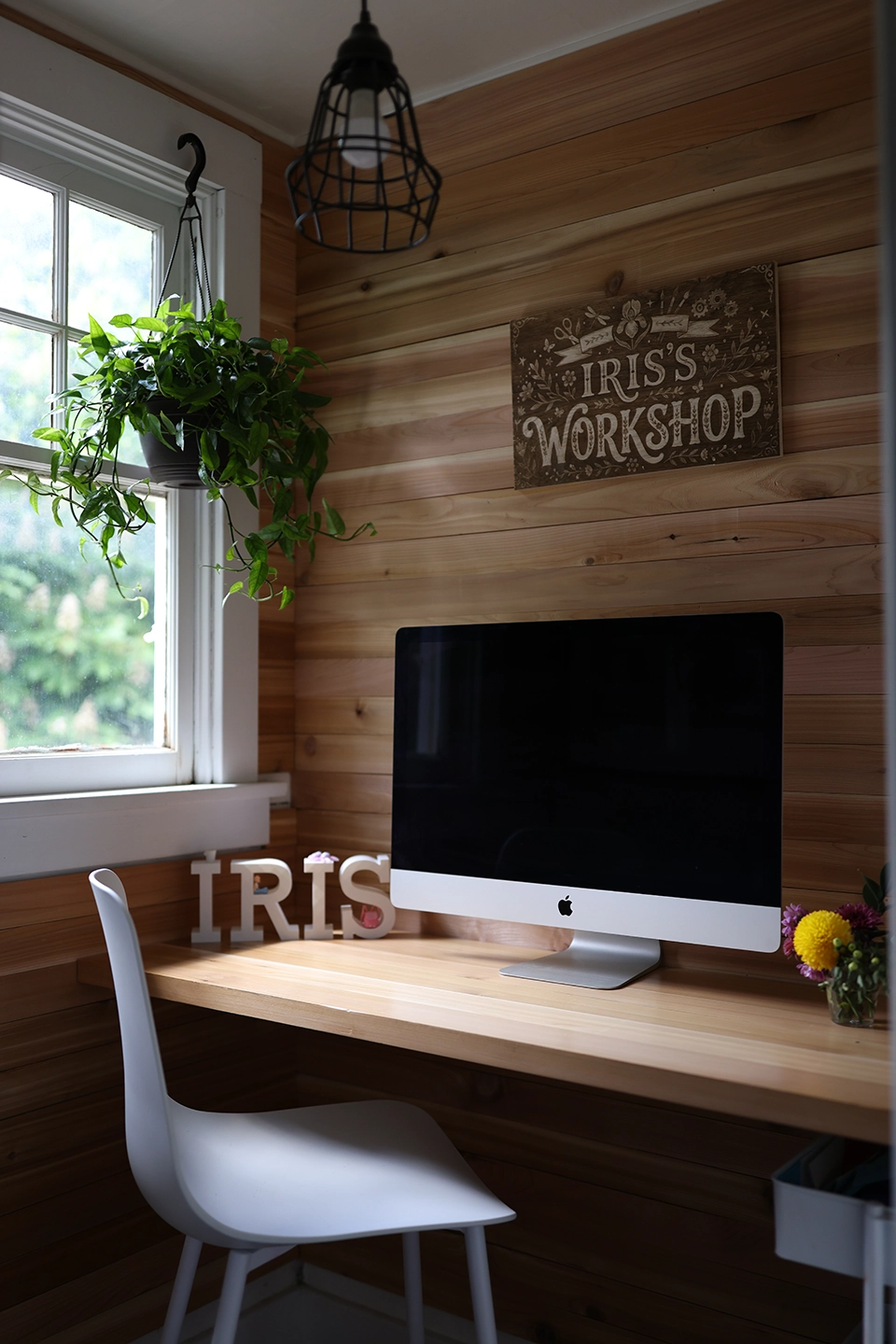 IRIS%20WORKSHOP